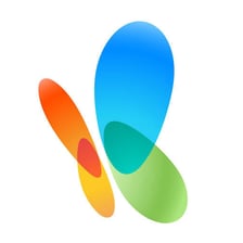 The MSN butterfly logo associated with its web portal.