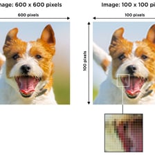 A comparison showing a detailed high-resolution photograph
