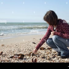 A person gathering seashells on a beach