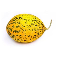 A Santa Claus melon shown whole and cut open.