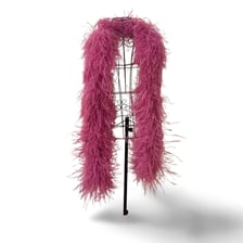 A colorful feather boa worn as a flamboyant fashion accessory