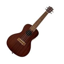 A four-stringed ukulele.