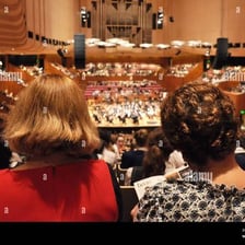 An audience member attending a live orchestra concert