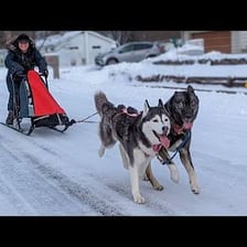 Siberian Huskies pulling a sled through a snowy landscape.