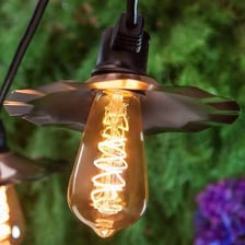 A vintage-style Edison bulb with a visible glowing filament.