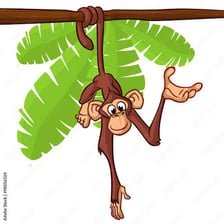 A monkey with its tail visible while perched in a tree.