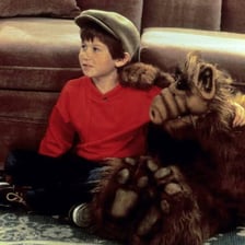 ALF, the furry alien character from the 1980s sitcom.