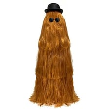 Cousin Itt, the long-haired Addams Family character