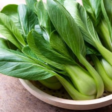 Fresh green bok choy with white stalks.