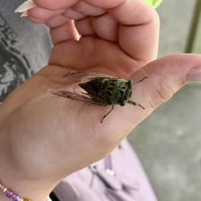 A person reacting with surprise to a small insect.