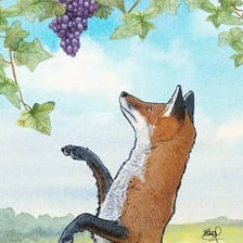 A fox looking toward grapes hanging out of reach.
