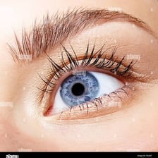 Close-up view of eyelashes along an eyelid.