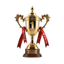 A champion holding a trophy as the top-ranked winner