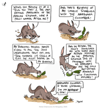 An aardvark foraging for ants with its long snout.