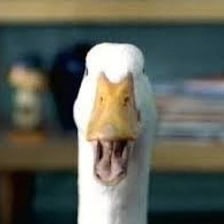 The Aflac duck from the insurance company’s advertising