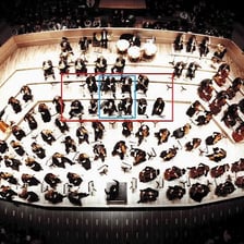 Oboes and flutes in an orchestra woodwind section