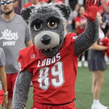 The Lobo mascot associated with the University of New Mexico.
