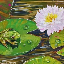 A frog resting on a lily pad in a pond.