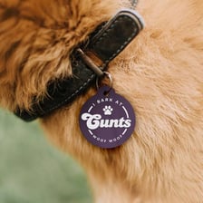 A metal identification tag hanging from a dog’s collar.