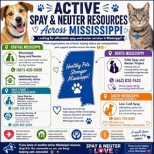 Dogs and cats receiving care at an animal-welfare clinic.