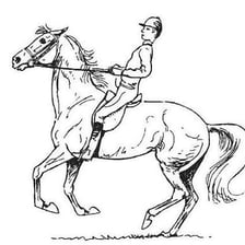 A rider using reins to control a horse