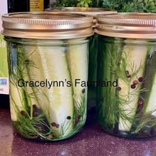 Fresh dill sprigs displayed with pickles