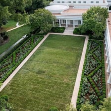 The rose-filled garden on the White House grounds.