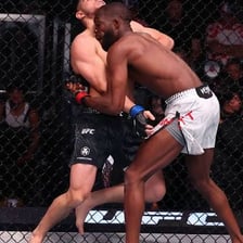 Two mixed martial arts fighters competing in an octagon.