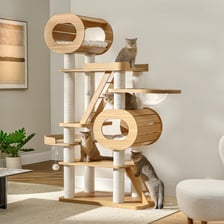 A cat climbing a multi-level cat tree