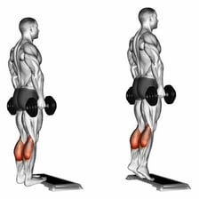 An anatomy illustration highlighting the calf muscles during a heel raise.