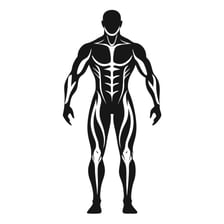 A silhouette illustrating a person’s physique.