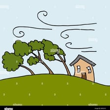 Trees bend as wind blows across an open landscape.