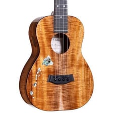 A ukulele, a small four-stringed instrument