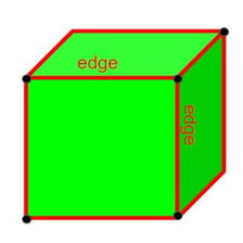 A close-up view of a distinct outer edge