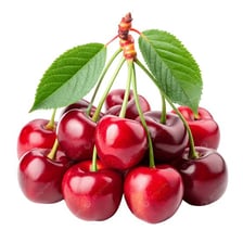 A cluster of ripe cherries with their stems attached
