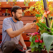 A person taking care of plants in a garden