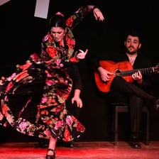 A flamenco dancer performing onstage
