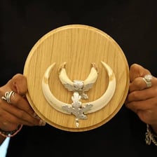 A wild boar showing its curved tusks.