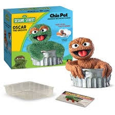 A Chia Pet novelty planter covered with sprouted chia greenery