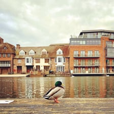 Historic Eton College buildings near the River Thames