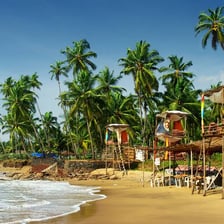 A coastal beach scene in Goa, India.