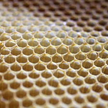 A close-up view of honeycomb made from beeswax