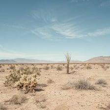 A dry desert landscape with sparse vegetation
