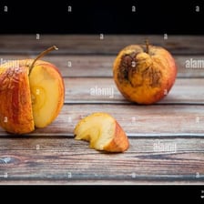 A visibly decayed apple with a browned and damaged surface