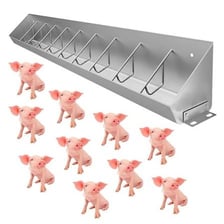 Pig enclosures containing feeding troughs