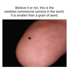 A tiny particle of dust visible on a surface.