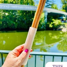 A cinnamon-sugar churro sold at a theme park.