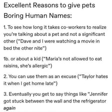 A person choosing a name for a pet