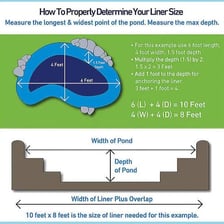 An illustration showing the vertical distance from a pond’s surface to its bottom.
