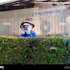 A person peeking around a corner inquisitively